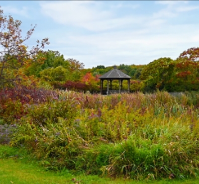 Fall Field for Nature Observation