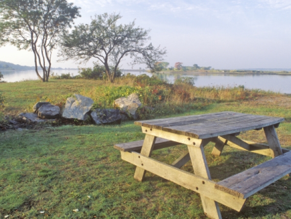 Picnicking location shoreline of Bluff Point State Park