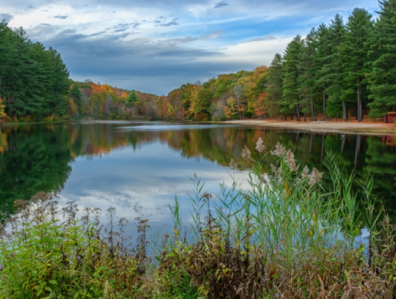 Vista shot of Chatfield Hollow water and tree line (Flickr)