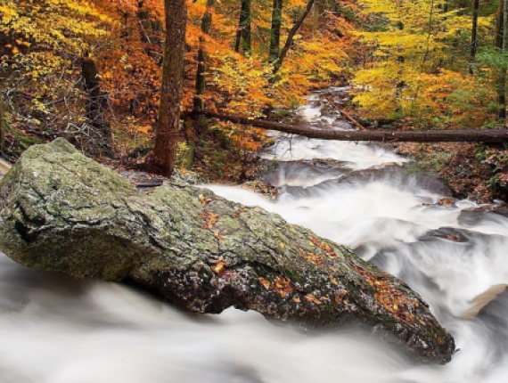 A rushing waterfall in the woods in fall (Instagram@nature_brilliance)