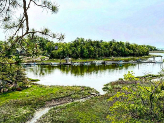 A serene body of water and trees seen from a rocky hillside.
