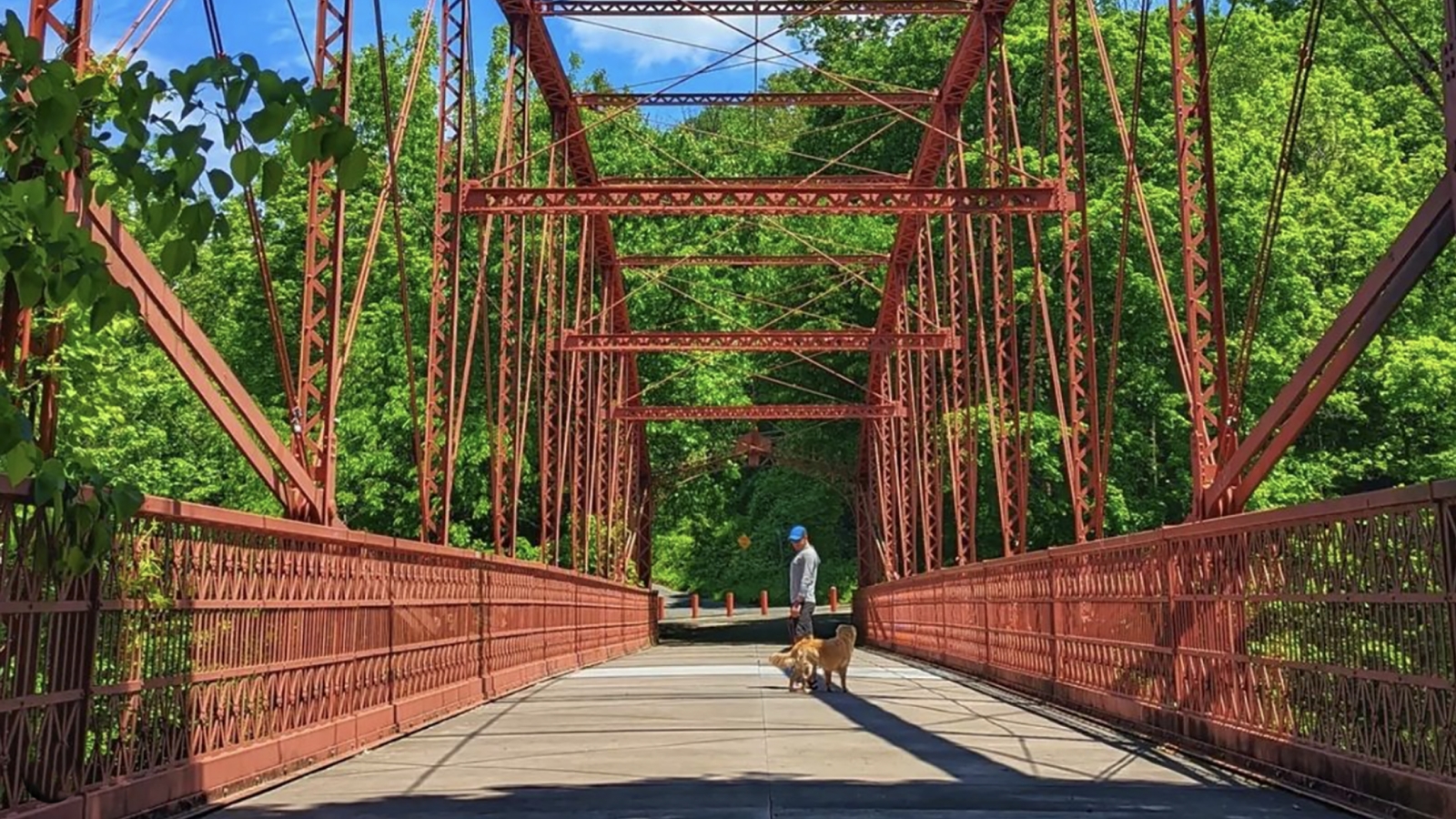 Man on Lovers Leap bridge with dog (Instagram@badw0lf)