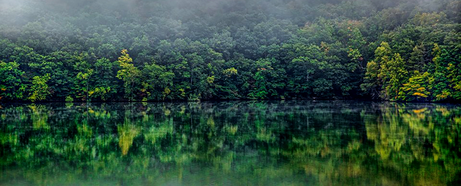 Fog and misty morning over pond at Paugusset Forest