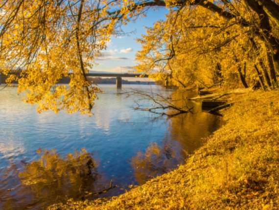 Windsor Locks Canal view during fall (Flickr@Jennifer-Yakey-Ault)